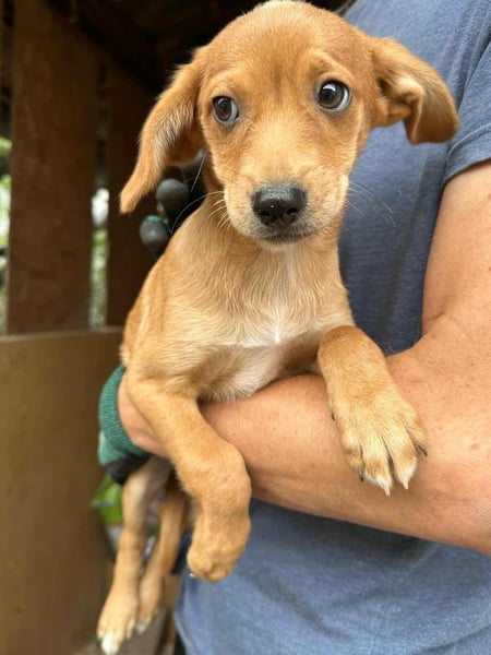 Dennis, geboren 02.07.2025 sucht seine Chance