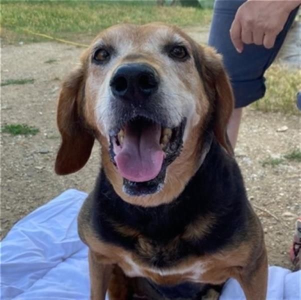 *Handicap* Anna - Schmusebacke mit Lebenswillen und Lebensfreude