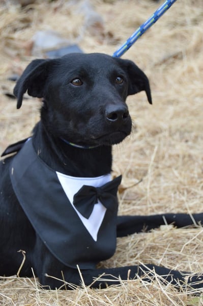 Nathan von kettenlos