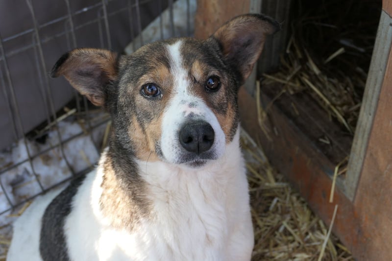 Freundliche, neugierige Princess