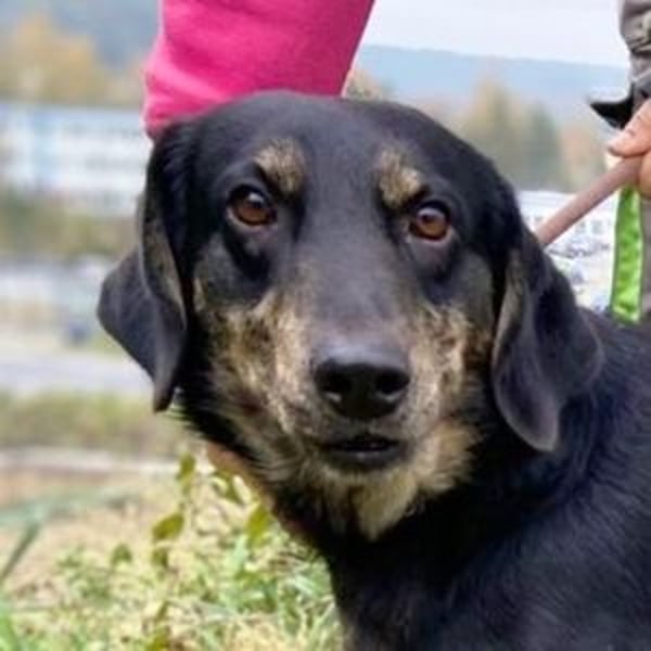 ARON irrte verloren umher