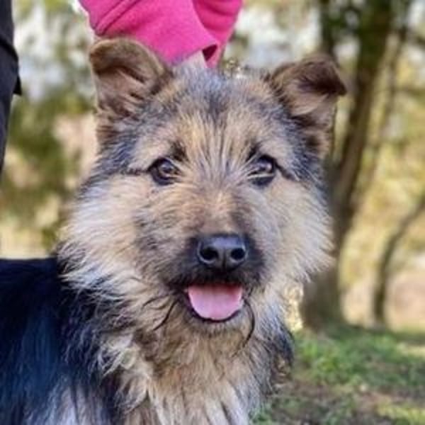 GASTON liebt Menschen über alles