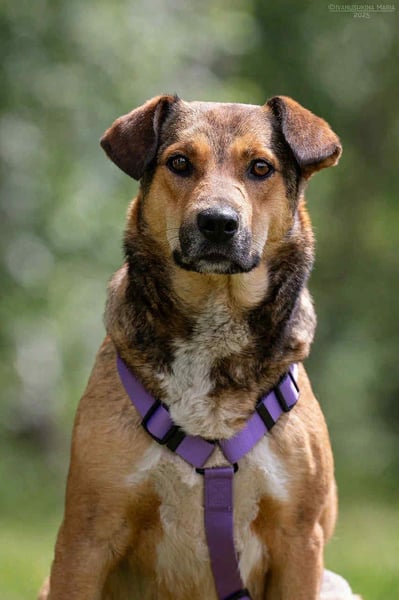 Soziale Rita sucht liebevolles Zuhause