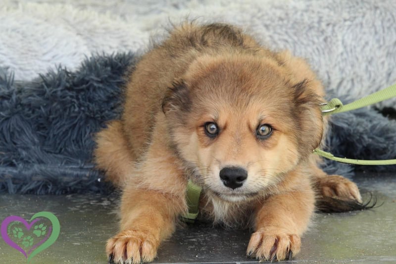 Knut sucht sein Körbchen....