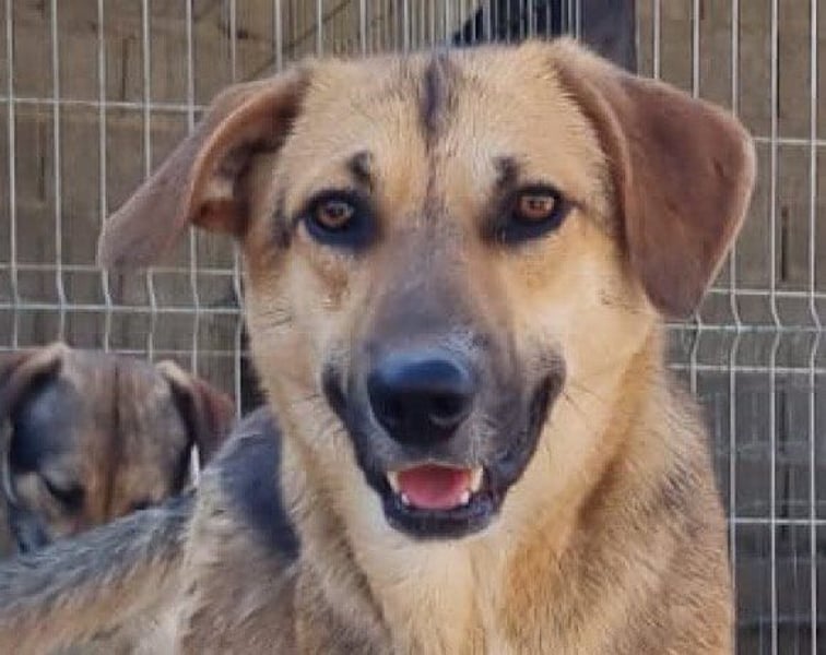 Bezaubernde Sersi wartet auf Dich!