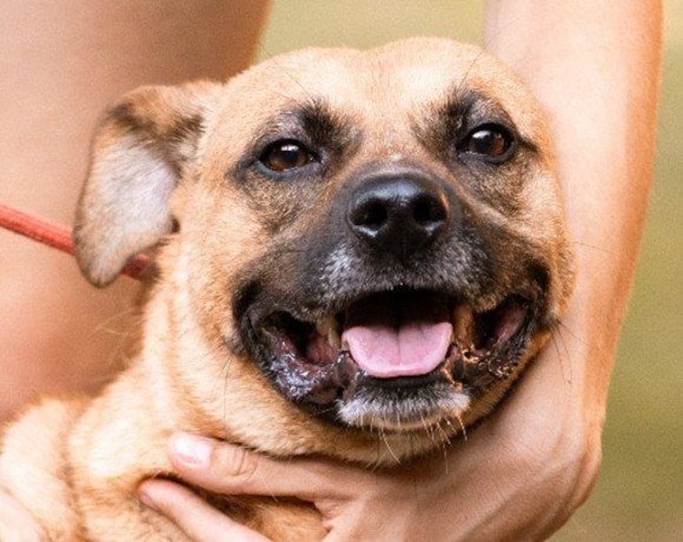 Teddy  wartet schon so lange!