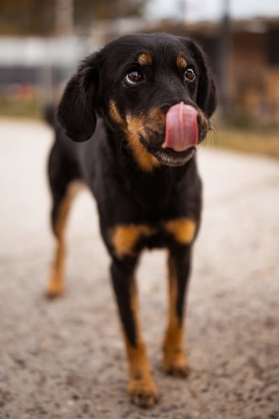 MALENA❤️sanfte, gehorsame Seele auf der Suche nach Geborgenheit