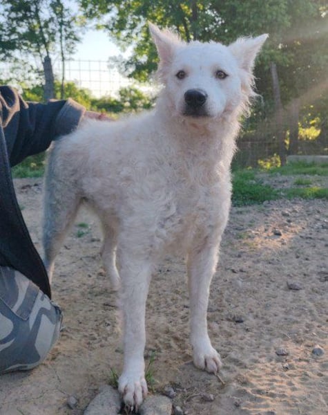 Sensible ♥ Jody ♥ sucht Liebe & Verständnis