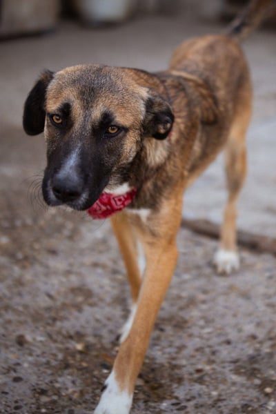 Liebste ♥ Lisa ♥ die pure Lebensfreude