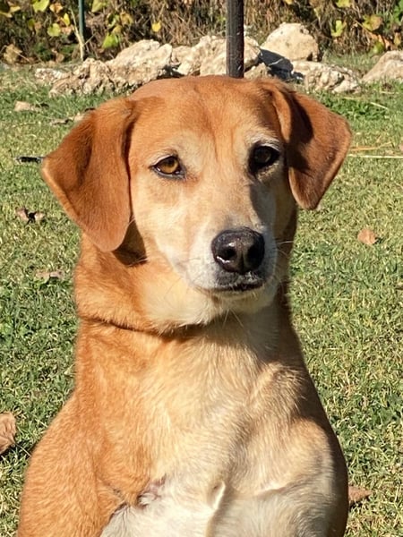 Fortuna - Glück wird mehr, wenn man es teilt