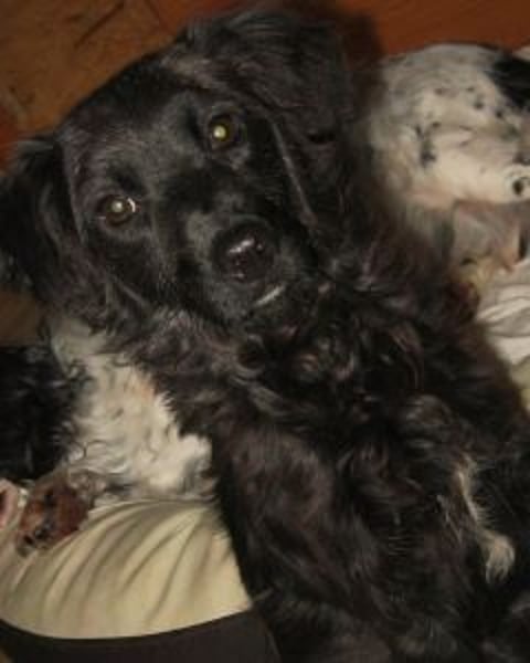 Javier - eine Welt, tiefer und dunkler als der Ozean