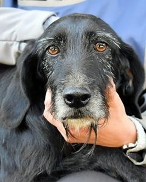 Sabrinetta - Alles, was Du willst, liegt jenseits dieser Mauern