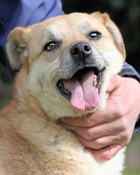 Stanwick - Nachholbedarf