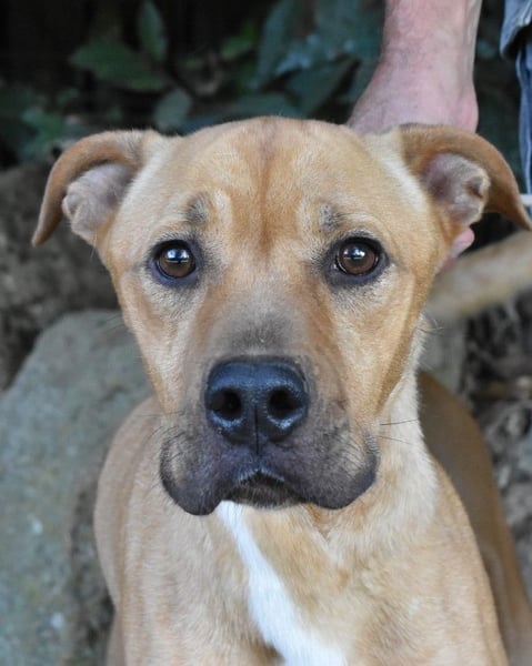 Moises - Wie kannst Du sein?