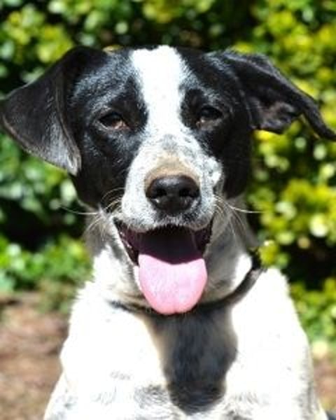 Nikolina - Schüchterner Engel auf der Suche nach dem Glück