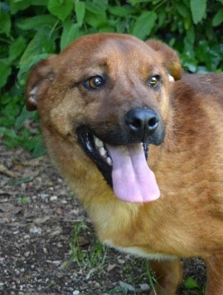 Monaldo - In der Ruhe liegt die Kraft!