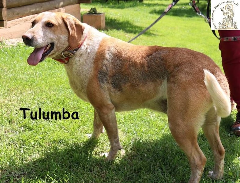 Tulumba – verschlafen schauen, sich verlieben – fertig!
