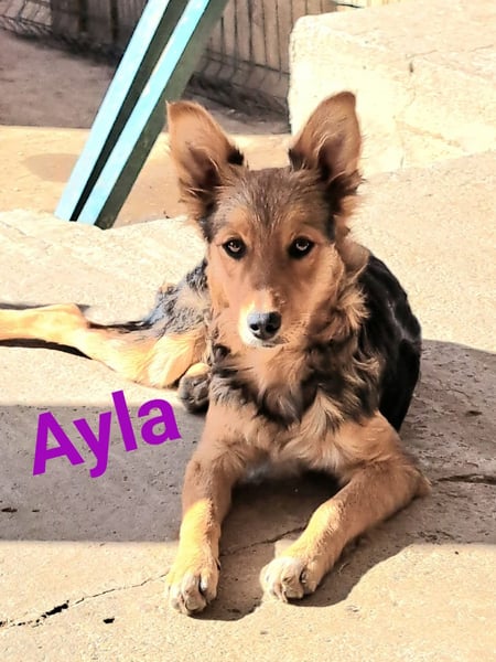 Ayla♥️