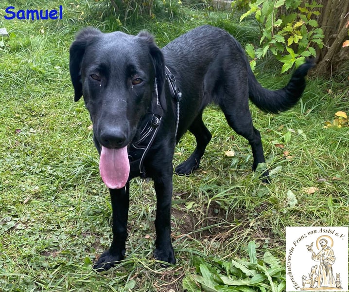 Samuel – der liebevolle Teenager