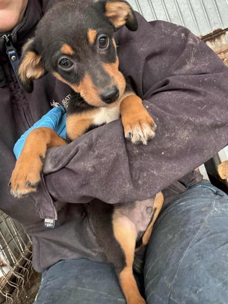 Miko möchte mit dir das Leben kennen lernen