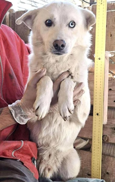 Liviu - freundlich & sozial