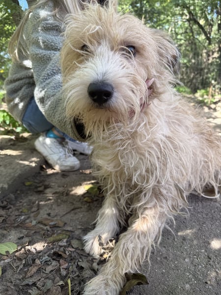 Pite - ist was ganz besonderes