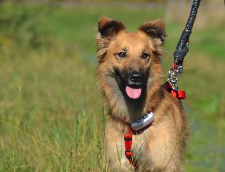wunderschöne Dani möchte endlich ankommen....