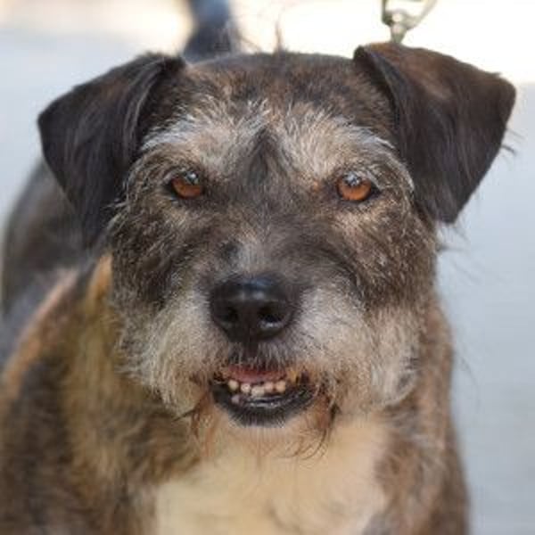 Miss Sophie - freundliche, liebenswerte, bezaubernde Seniorin