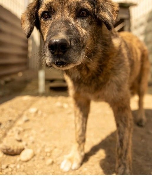 Beghei, der liebe Schatz wartet schon so lange endlich gesehen zu werden
