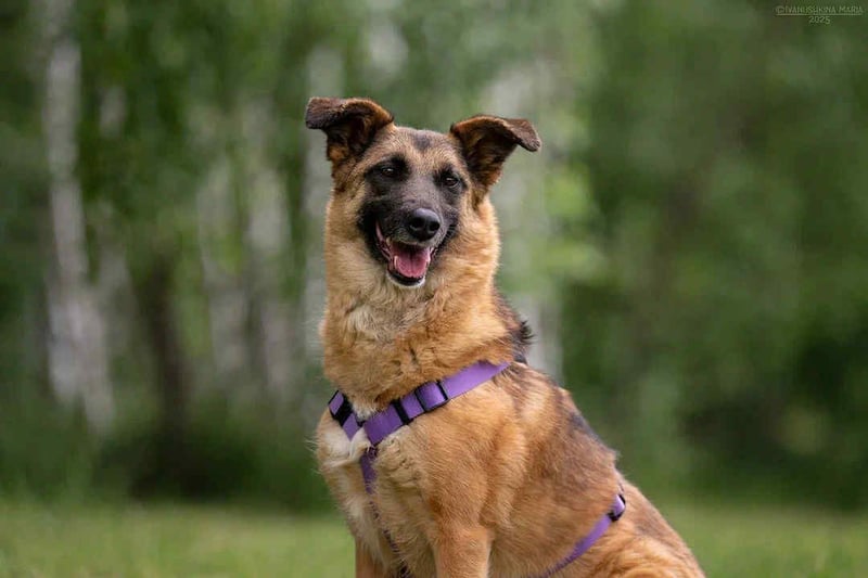 Tolle Malta sucht warmes Körbchen