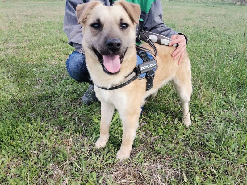Zabu wartet genau auf DIch