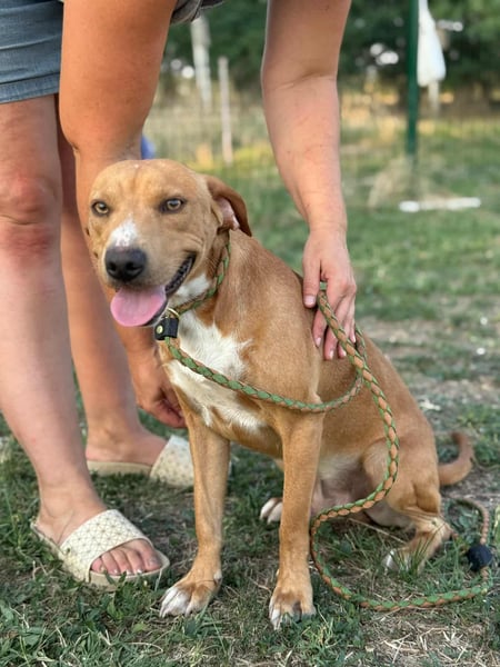 Raffael, geboren 31.10.2024, 48cm sucht seine Familie