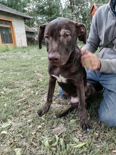 Philip, geboren 28.04.2025, 53cm sucht sein Zuhause