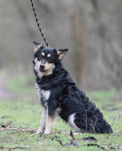 Arthur, geb. 10.03.2024, 48 cm, sucht nach seinen Menschen