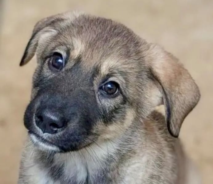 Schelmische, fröhliche Skadi sucht  ♥️