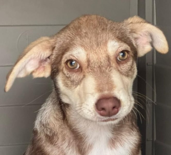 Mutter und Tochter suchen gemeinsames Zuhause