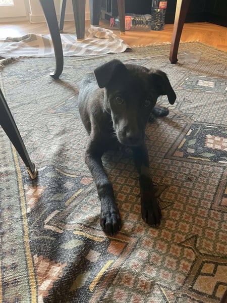 Yana, zarte Schönheit sucht ihre Menschen