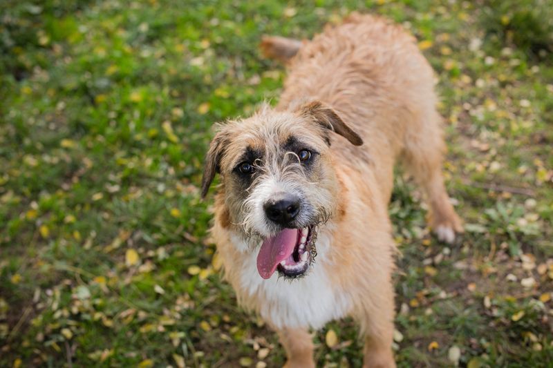 SALÜ - ich träume von einer eigenen Familie!