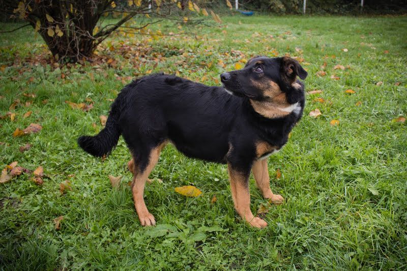 NIA - ich freue mich auf tolle Abenteuer mit meiner Familie!