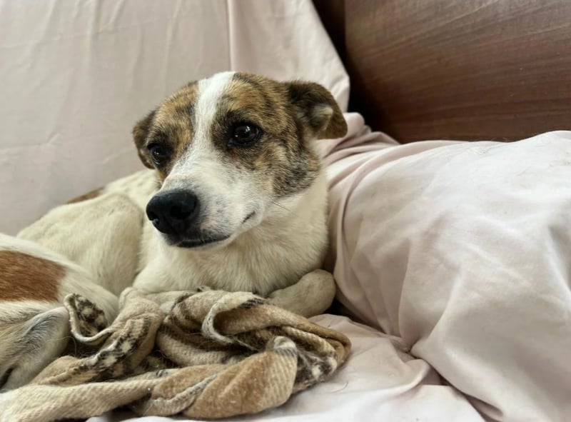 RILEY - sucht ihre große Chance in ein besseres Leben