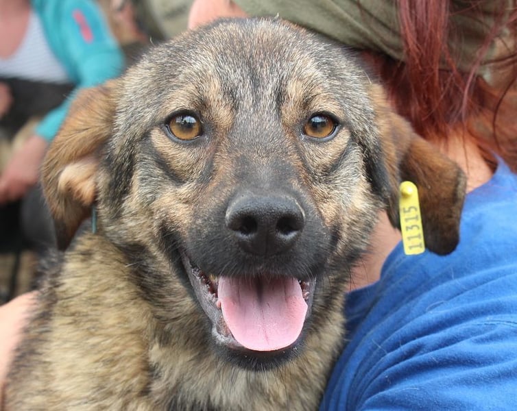 ♥MATS♥ fröhlicher, lieber schlanker Jungspund mit der handlichen Größe von 44 cm