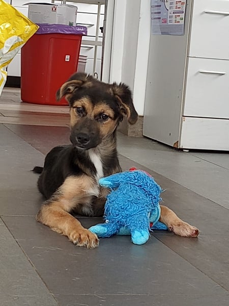 Mila sucht besondere Menschen