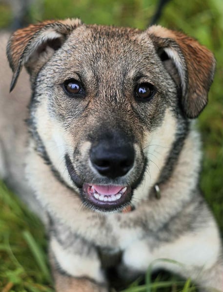 Verschmuste Vivien sucht ihre Menschen