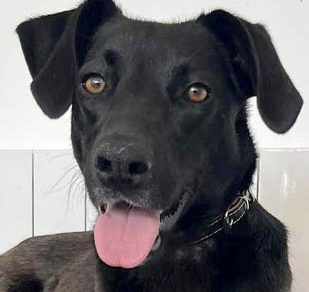 Wunderschöne Mai sucht ihre Familie