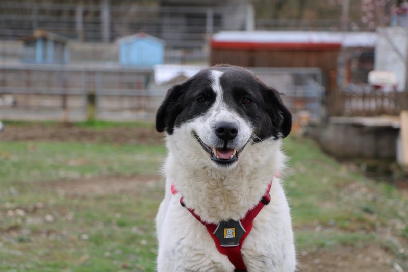 Klara möchte endlich ankommen