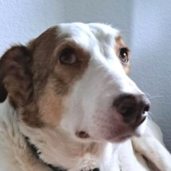 HELEN braucht eine Chance