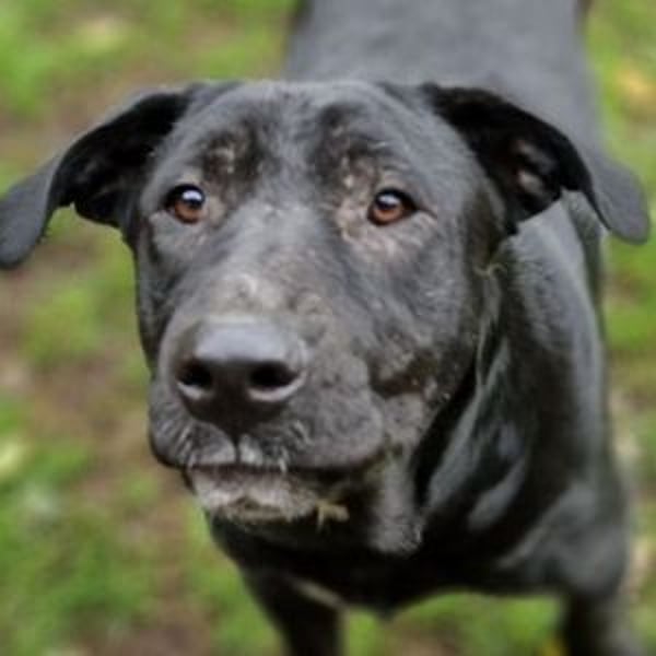 MARA möchte deine Freundin sein