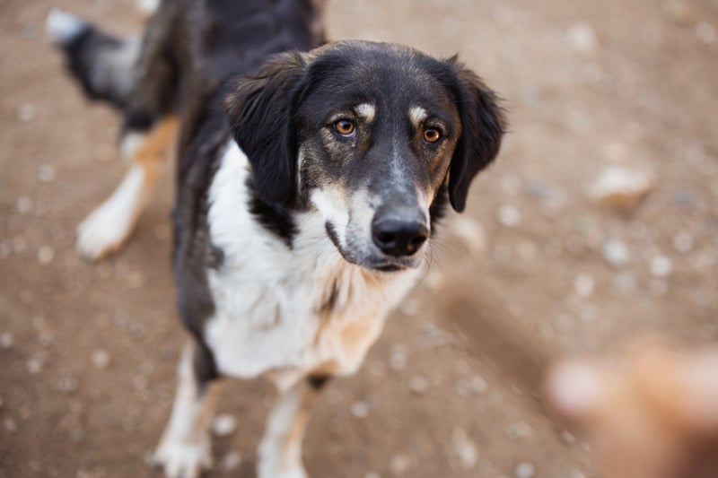 Liebste ♥Feyra♥ sucht ihre Familie