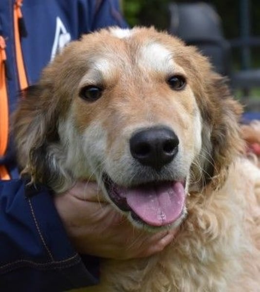 Ligorio und seine Geschwister sind gewachsen