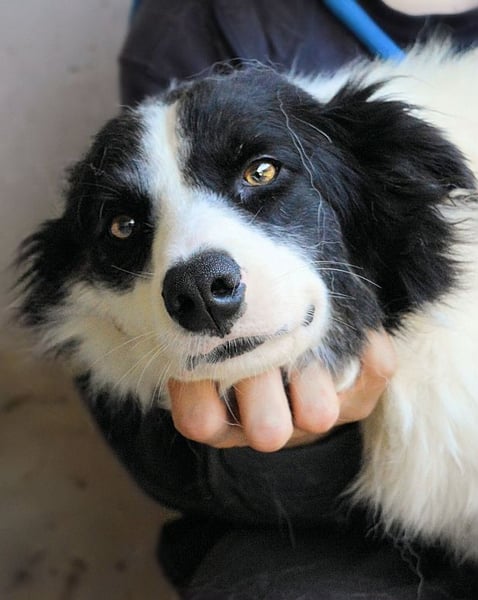 Ghazala - Noch ein bisschen scheu, aber voller Neugier aufs Leben